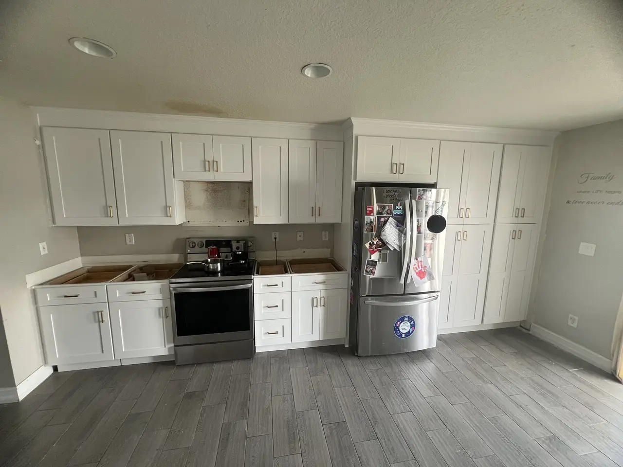 Kitchen Remodel Cabinets in Tampa